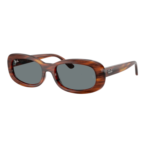 Ray-Ban Womens RB2221 Sunglasses Polished Striped Havana/Blue, Size 53 frame - 0RB2221-954SLASH6253.png