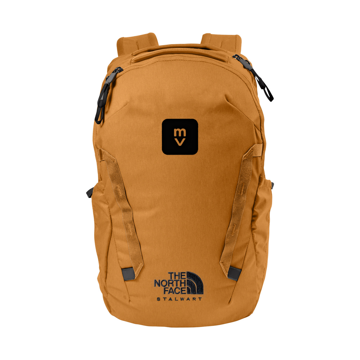 Sample North Face Stalwart Backpack