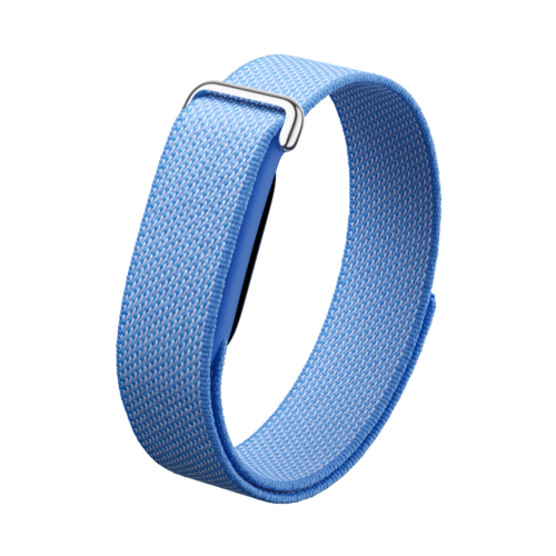 Google Fitbit Air - GA11014-US.png