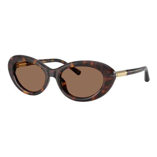 Dolce & Gabbana Womens DG4519 Sunglasses Havana/Dark Brown, Size 54 frame - 0DG4519-502SLASH7354.png