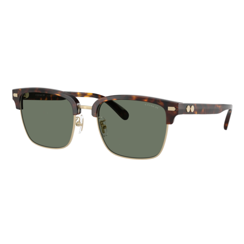 Coach Rogue Retro Sunglasses Light Gold-Dark Tortoise/Green Solid, Size 56 frame - 0HC8412-51203H56.png