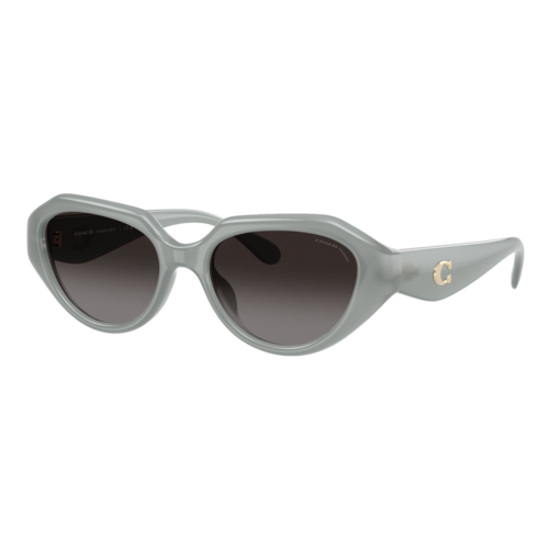 Coach Womens Polarized HC8433U Sunglasses, Milky Eucalyptus/Polarized Grey Gradient, Size 52 frame - 0HC8433U-5905T352.png