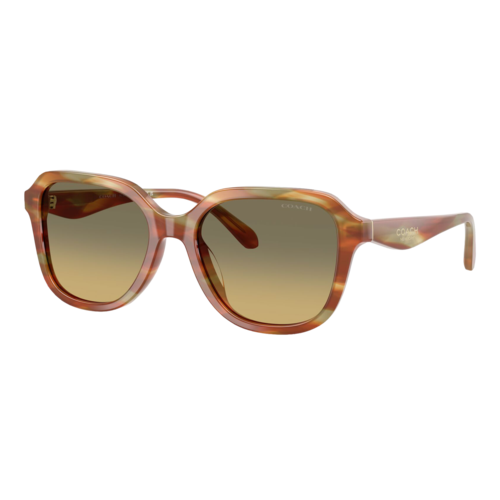 Coach Womens Oval Square Sunglasses Striated Bark/Green Grey Gradient, Size 53 frame - 0HC8437U-5898L053.png