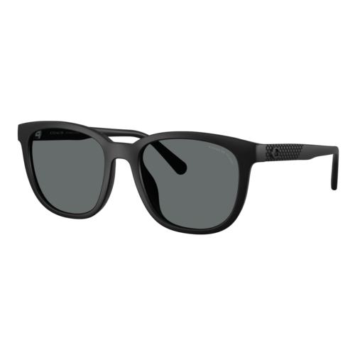 Coach Polarized Textured Square Sunglasses, Matte Black/Grey Solid Polarized, Size 54 frame - 0HC8442U-50028154.png