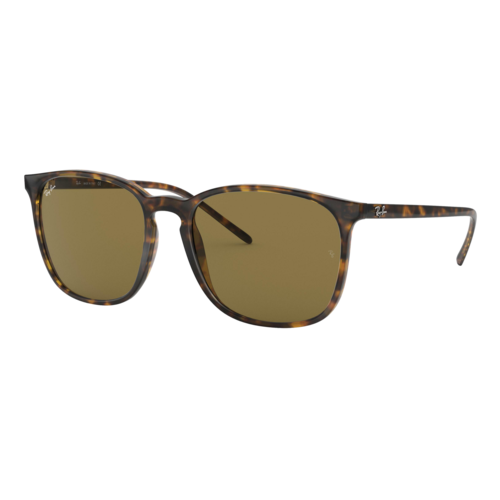 Ray-Ban RB4387 Sunglasses Tortoise/Brown Classic B-15, Size 56 frame - 0RB4387-710SLASH7356.png