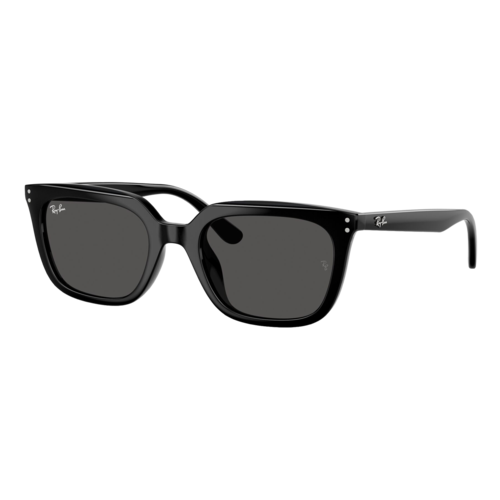 Ray-Ban RB4439D Sunglasses Polished Black/Dark Grey, Size 54 frame - 0RB4439D-901SLASH8754.png