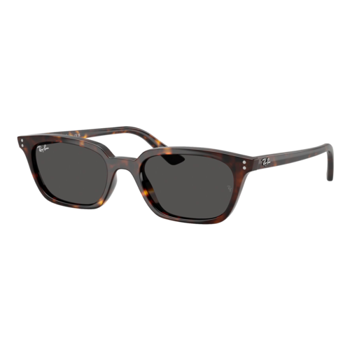 Ray-Ban Zaya Bio-Based Sunglasses Polished Havana/Dark Grey, Size 53 frame - 0RB4456-13598753.png