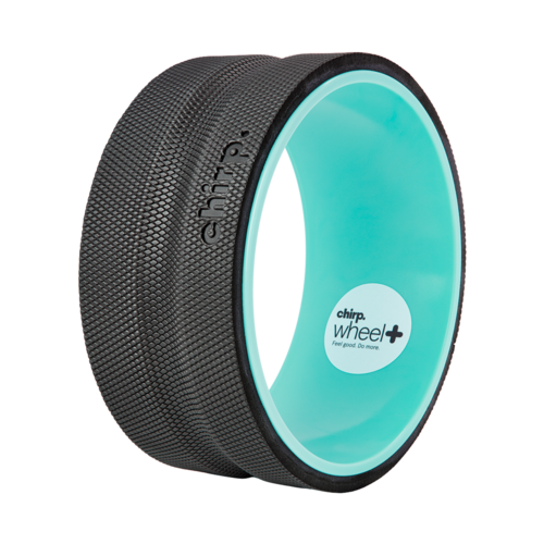 Chirp Wheel Plus 10in Firm - 10-PW-PLUS-RTL.png