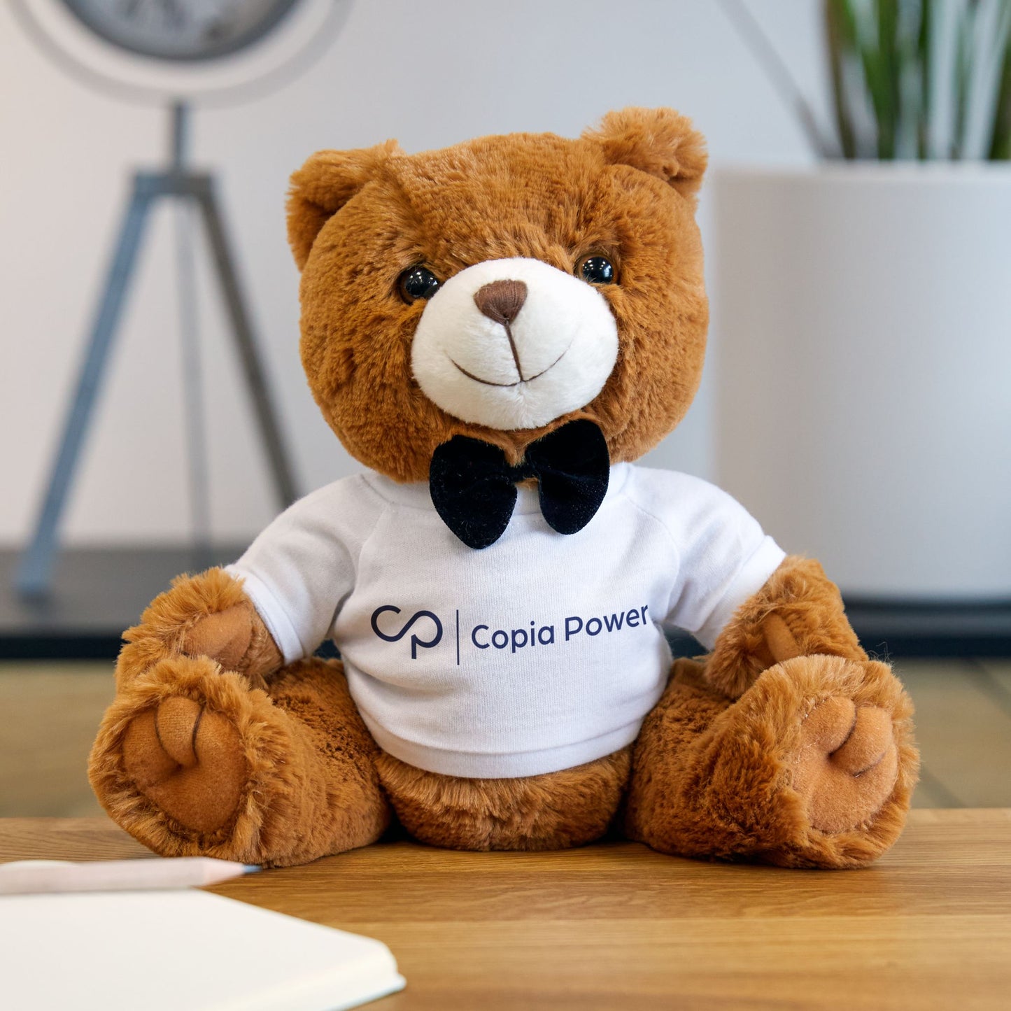 Copia Power Teddy Bear with T-Shirt & Bow