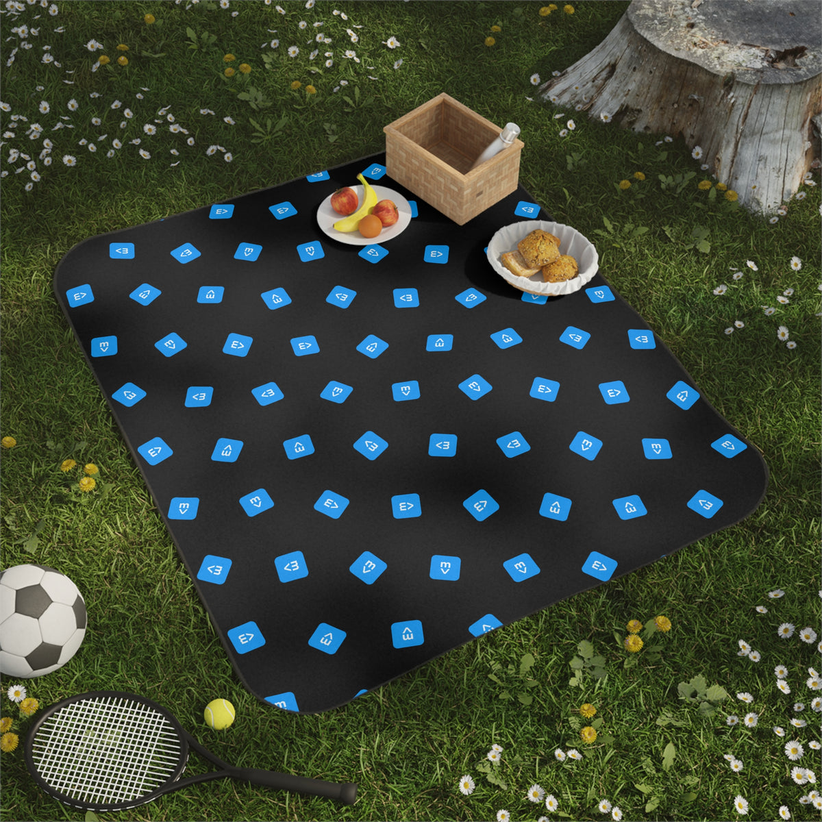 Sample Picnic Blanket