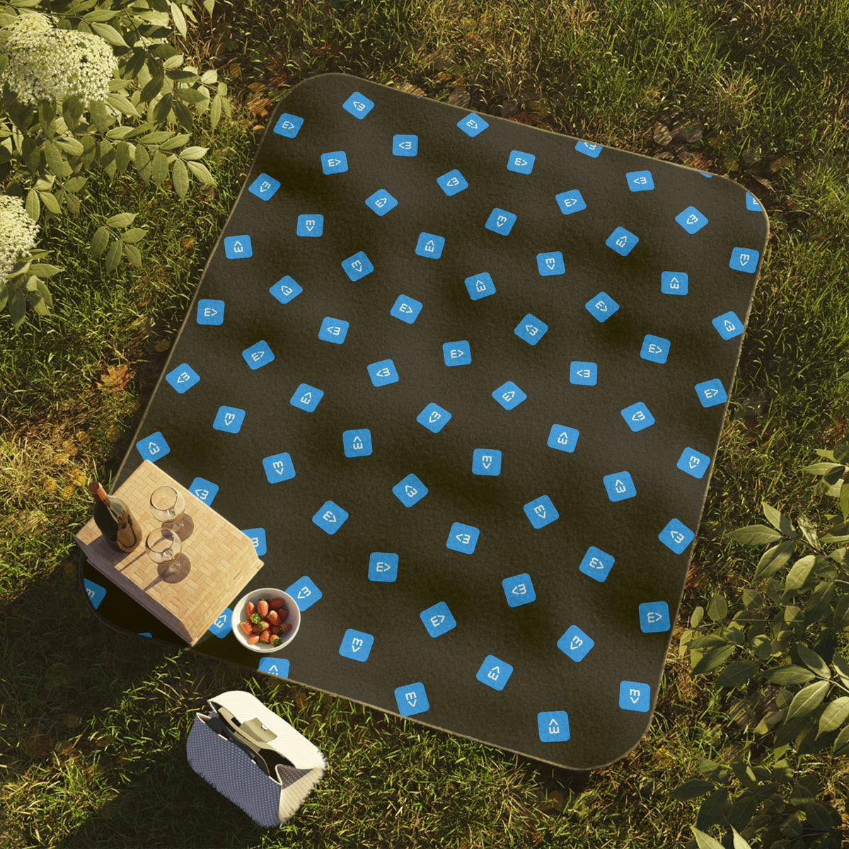 Sample Picnic Blanket