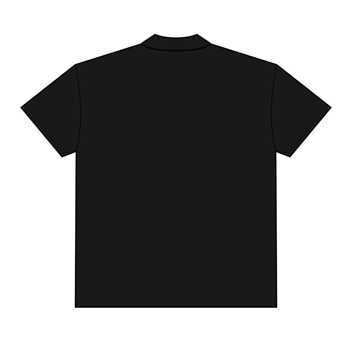 Sample North Face Men's Canyon Crest Polo