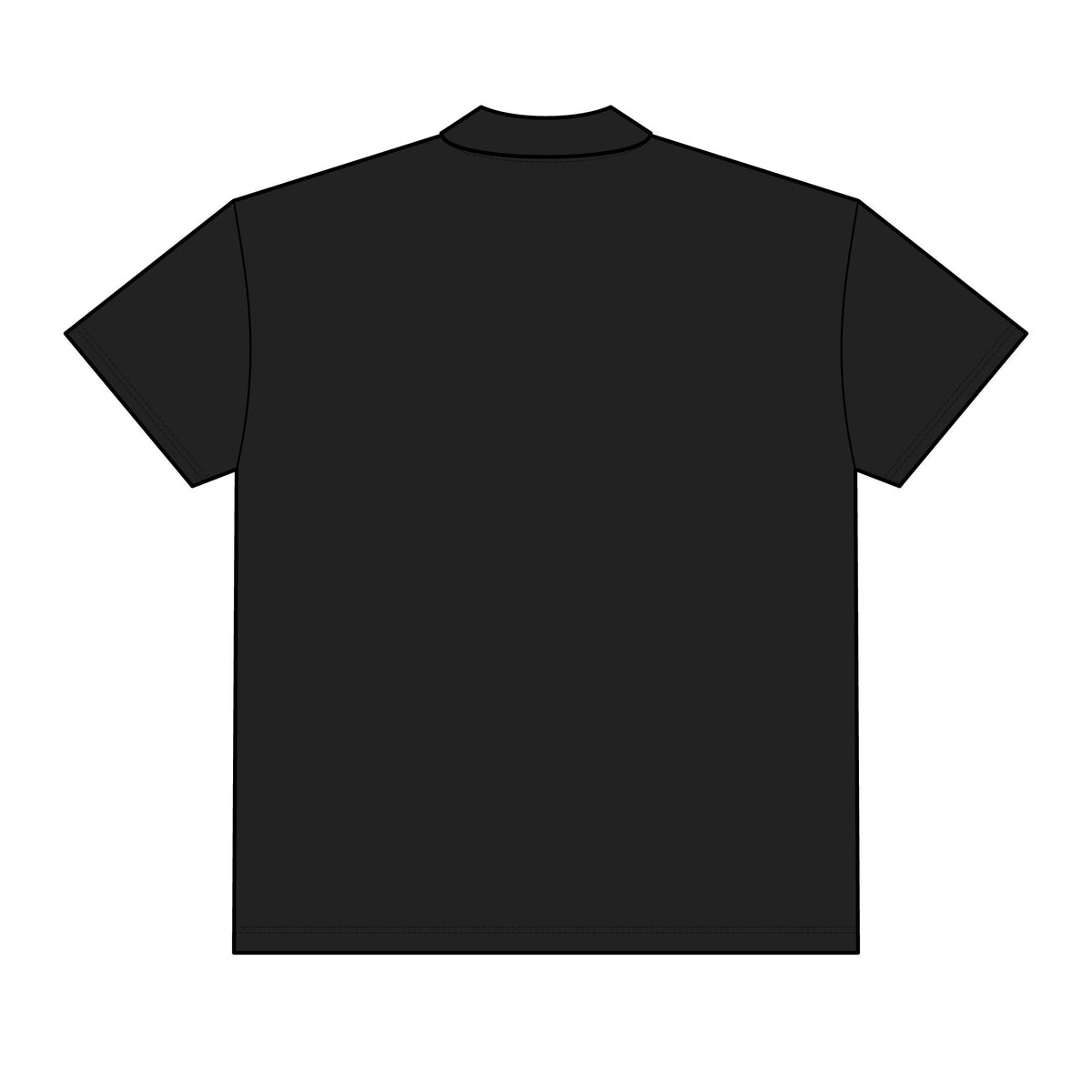Sample North Face Men's Canyon Crest Polo