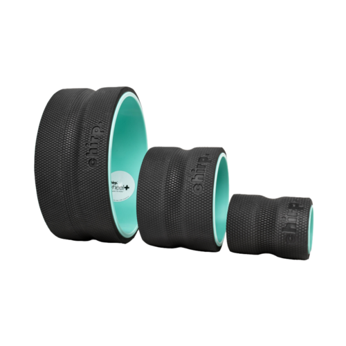 Chirp Wheel Plus 3-Pack 6in, 10in, 12in - 3P-PW-PLUS-RTL.png