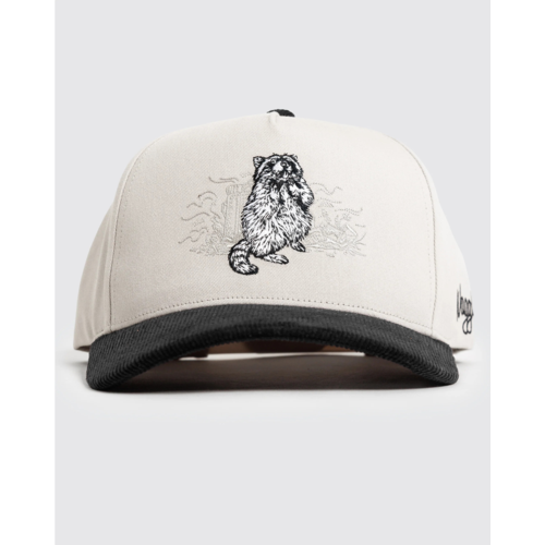 Waggle Trash Bandit Corduroy Brim Hat Gray - BNDTCYHATGRY.png