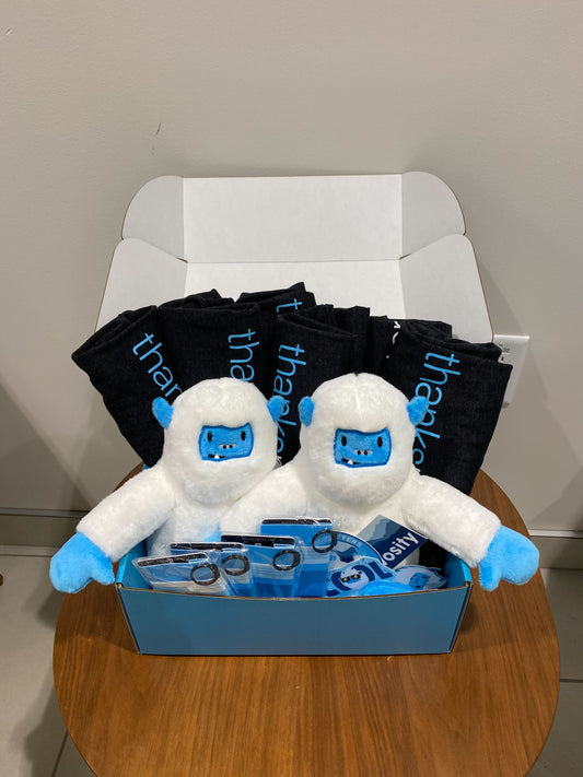 Medium Customer Swag Package